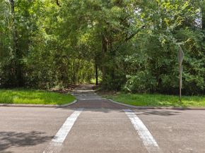 5 Cat Feet Court, The Woodlands TX 77381