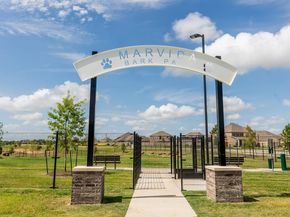 21339 Palm Arbor Drive, Cypress TX 77433