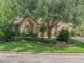 102 W Racing Cloud Court, The Woodlands TX 77381