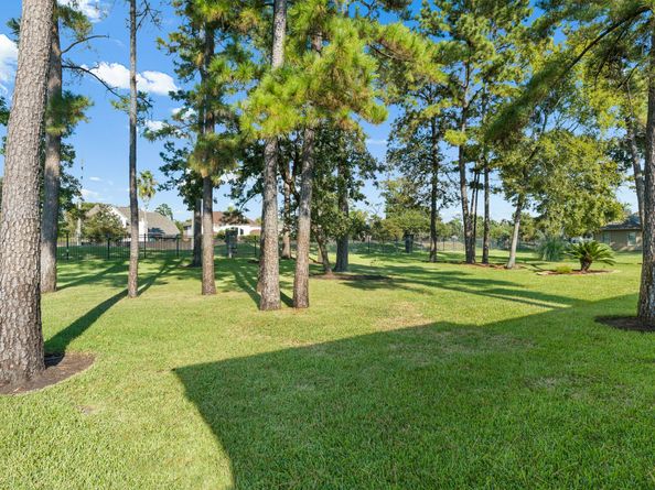 25146 Arcane Court, Spring TX 77389