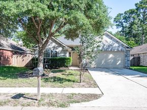 4523 Bridgevillage Drive, Spring TX 77373