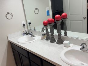 17731 Holt Fleet Drive, Houston TX 77044