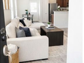 11230 Hall Ranch Court, Houston TX 77075