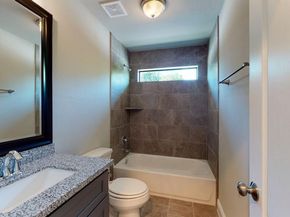 311 Mascot, Houston TX 77029