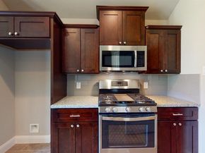 311 Mascot, Houston TX 77029