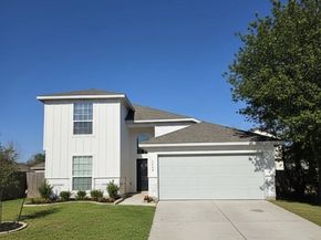 311 Mascot, Houston TX 77029