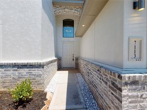 311 Mascot, Houston TX 77029