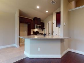 311 Mascot, Houston TX 77029