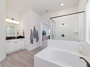 58 Botanical Vista Drive, Tomball TX 77375