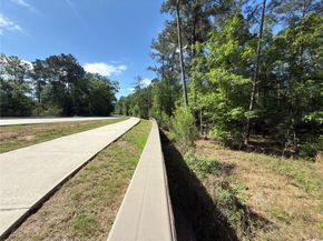 3057 Pampaneria Drive, Conroe TX 77301