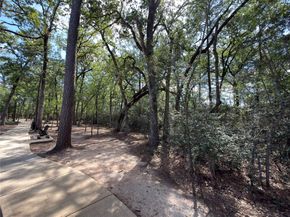 3057 Pampaneria Drive, Conroe TX 77301