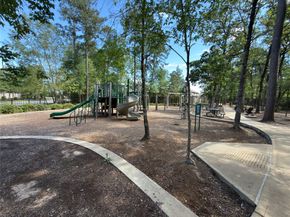 3057 Pampaneria Drive, Conroe TX 77301