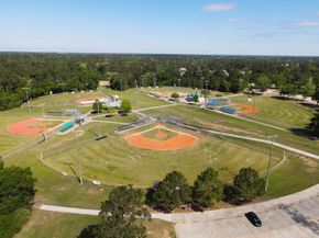 3057 Pampaneria Drive, Conroe TX 77301
