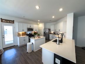 3057 Pampaneria Drive, Conroe TX 77301