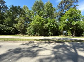 3057 Pampaneria Drive, Conroe TX 77301
