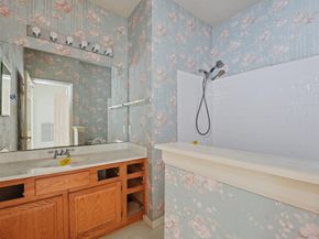 50 E Trillium Circle, The Woodlands TX 77381
