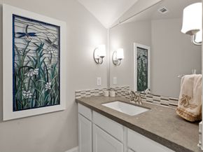 18 Trailing Lantana Place, The Woodlands TX 77354