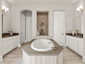 18 Trailing Lantana Place, The Woodlands TX 77354