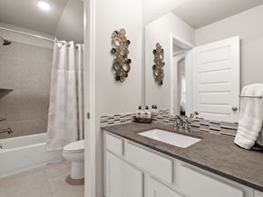 18 Trailing Lantana Place, The Woodlands TX 77354