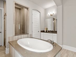 18 Trailing Lantana Place, The Woodlands TX 77354