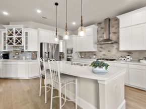 18 Trailing Lantana Place, The Woodlands TX 77354
