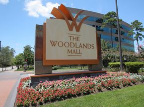 10 Jenny Wren Court, The Woodlands TX 77382