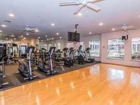 2400 Mccue Road 436, Houston TX 77056