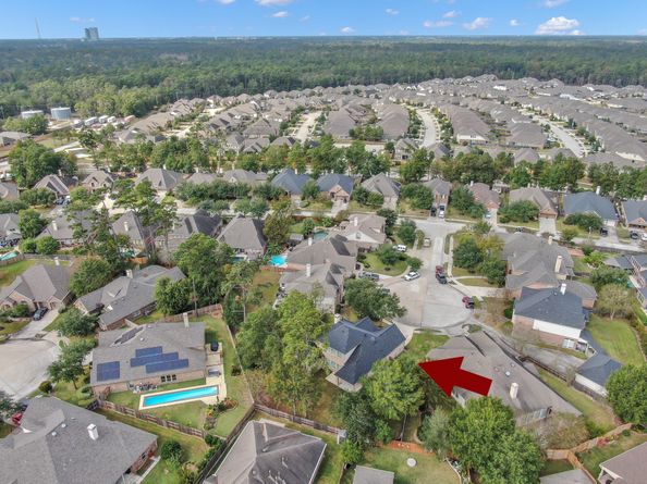 31903 Burnt Wood Court, Conroe TX 77385