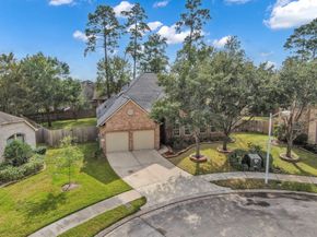 31903 Burnt Wood Court, Conroe TX 77385