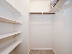 10809 Colony Wood Place, The Woodlands TX 77380