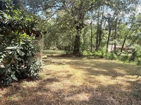 20785 Deuster Lane, Porter TX 77365