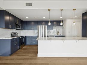 2001 Holcombe Boulevard 2203, Houston TX 77030