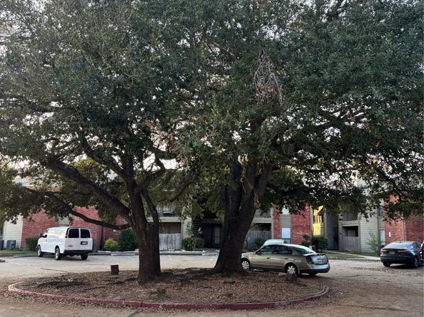 8918 Bissonnet Street 207, Houston TX 77074