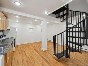 253 N Lincoln Street, Denver CO 80203