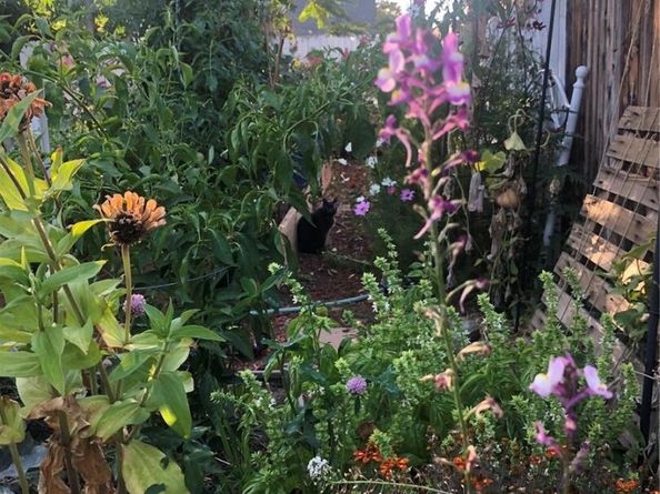 3501 Sheridan Boulevard, Wheat Ridge CO 80212