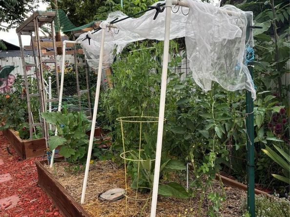 3501 Sheridan Boulevard, Wheat Ridge CO 80212