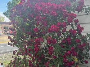 3501 Sheridan Boulevard, Wheat Ridge CO 80212