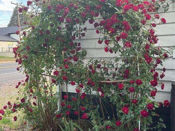 3501 Sheridan Boulevard, Wheat Ridge CO 80212