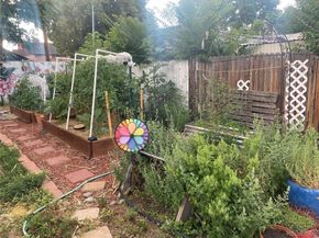 3501 Sheridan Boulevard, Wheat Ridge CO 80212