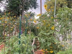 3501 Sheridan Boulevard, Wheat Ridge CO 80212