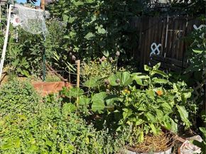 3501 Sheridan Boulevard, Wheat Ridge CO 80212