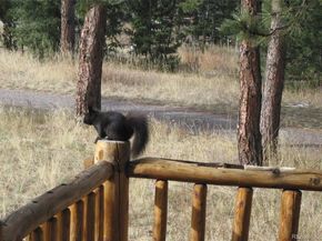 22901 Pinecrest Road, Golden CO 80401