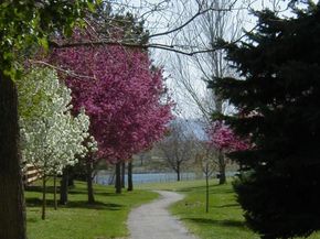 7771 S Curtice Drive A, Littleton CO 80120