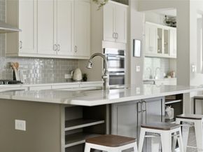1156 S Lincoln Street, Denver CO 80210