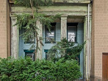 46 Willow Place