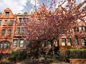329 Convent Avenue, New York NY 10031