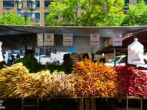 310 East 46th Street 4N, New York NY 10017