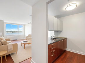 100 Riverside Boulevard 8J, New York NY 10069-0401