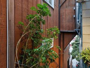 130 Ripley Street, San Francisco CA 94110