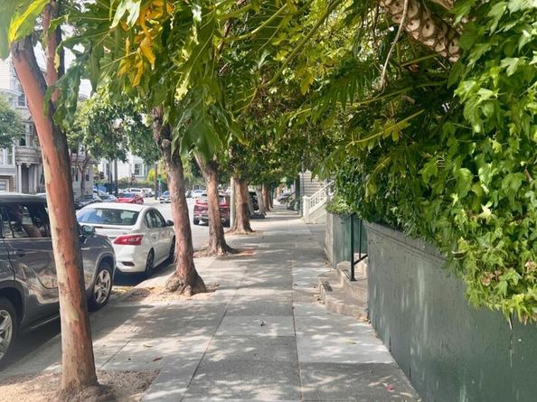 943 South South Van Ness Avenue, San Francisco CA 94110